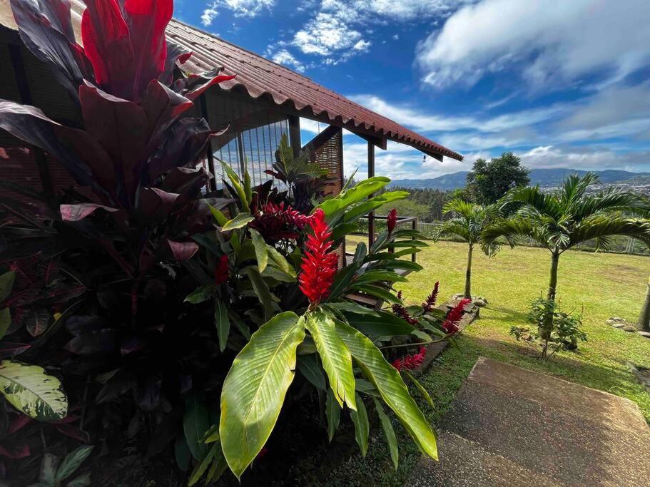 Chalet Zen Bella Vista San Juan  Екстериор снимка
